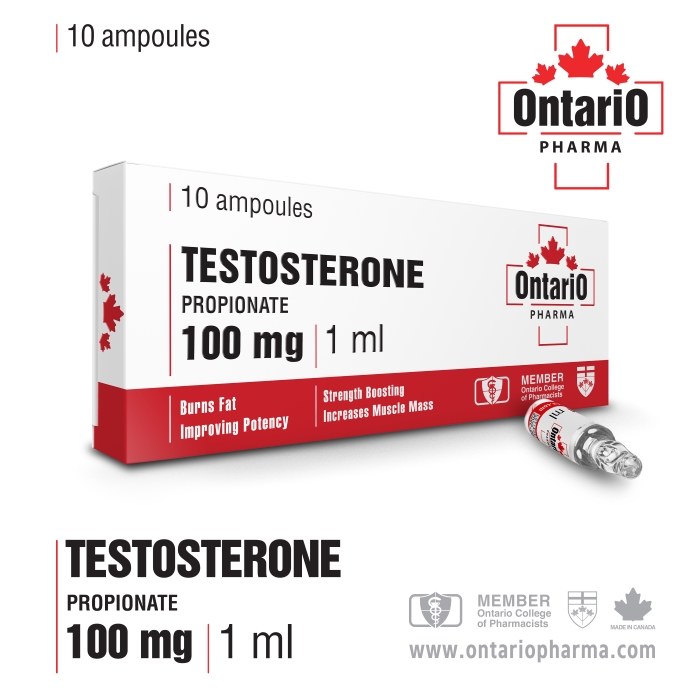 Testosterone  Propionate - 100mg 10x100mg
